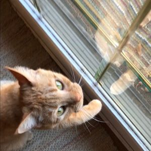 Meet your Posher, Angela